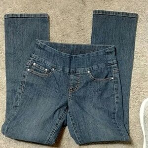 Jag Jeans Bootleg Pull on Jeans